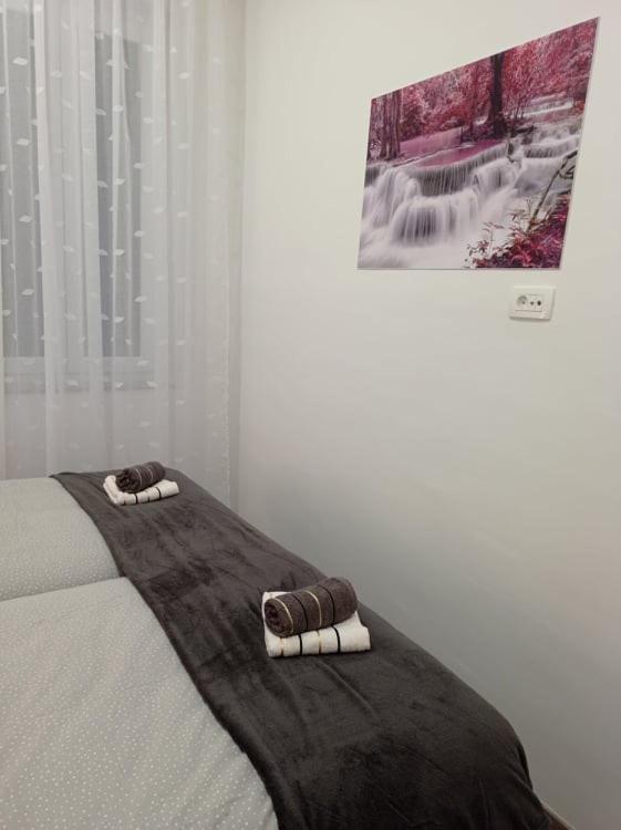 شقة غييكا  في Apartman Cezar المظهر الخارجي الصورة